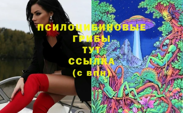 метадон Белокуриха