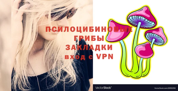 метадон Белокуриха