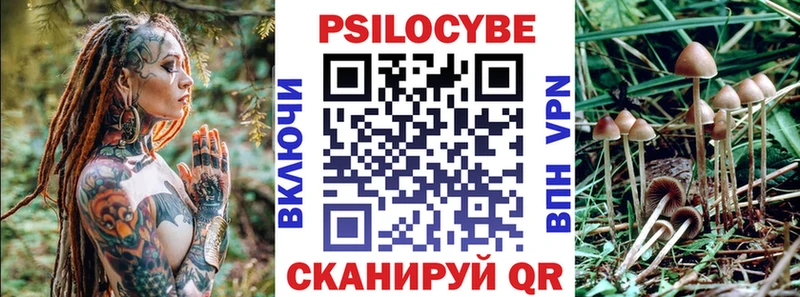 купить  цена  Вольск  blacksprut ТОР  Галлюциногенные грибы мухоморы 